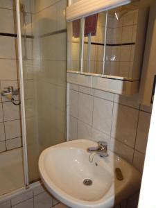 La salle de bains est pourvue d'un lavabo et d'une douche. dans l'établissement Apartment-EG-06, à Darmstadt