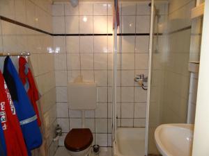 een badkamer met een douche, een toilet en een wastafel bij Apartment-EG-06 in Darmstadt