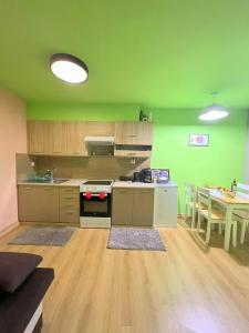 Kuchyňa alebo kuchynka v ubytovaní Marisa City Center Nafplio Apartment