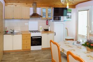 A kitchen or kitchenette at Apartment Jorsi with Mountain View