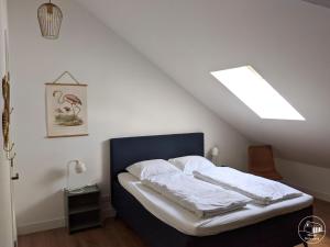 a bedroom with a bed with a skylight at Nieuw Molenwijk 4-5 persoons in Oostkapelle