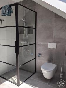a bathroom with a glass shower with a toilet at Nieuw Molenwijk 4-5 persoons in Oostkapelle +31 photos