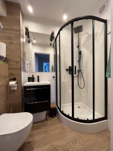 een badkamer met een douche, een toilet en een wastafel bij Apartament Wspomnienie in Duszniki Zdrój