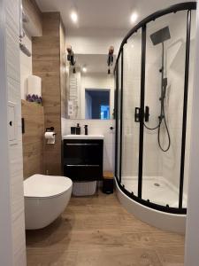ein Bad mit einer Dusche, einem WC und einem Waschbecken in der Unterkunft Apartament Wspomnienie in Duszniki-Zdrój