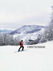 Mavrovo Forest Apartments talvel