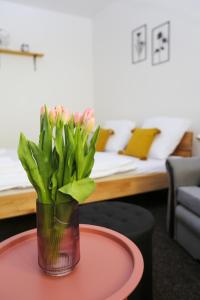 Fotografie z fotogalerie ubytování Apartmány Krátká v Sušici + 12 fotografií