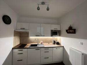 Fotografia z galérie ubytovania Apartman Centrum 401 v destinácii Ústí nad Labem