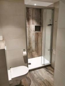 uma casa de banho com um WC e um chuveiro em Premium Appartements Di Bora em Sankt Michael im Lungau