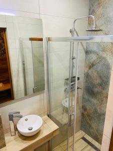 uma casa de banho com um lavatório e um chuveiro em A&P Motel em Mikolów