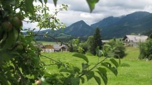 ein grünes Feld mit Häusern und Bergen im Hintergrund in der Unterkunft Gästehaus Zum Steirischen Kuss in Aich