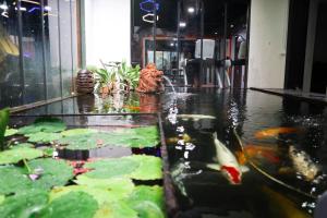 Kép Helios Hotel Malang szállásáról Malangban a galériában