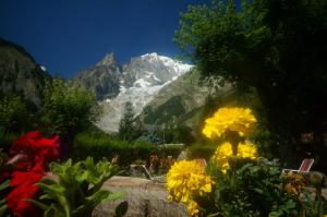 a garden filled with lots of flowers and plants at Hotel Aiguille Noire in Courmayeur
