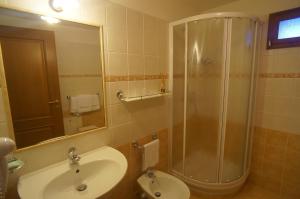 a bathroom with a shower and a sink at Hotel Aiguille Noire in Courmayeur