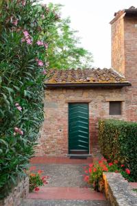 Borgo La Casaccia外面的花园