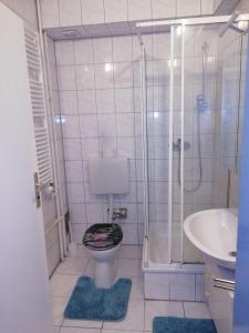 uma casa de banho com um chuveiro, um WC e um lavatório. em Apart-EG-01 em Darmstadt