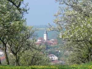 a town with a church in the distance with trees at Charmant Gîte en Lorraine, Proche Nancy et Vosges, Terrasse et Confort Tout Équipé - FR-1-584-59 in Rozelieures +6 photos