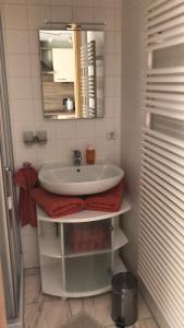 een badkamer met een wastafel en een spiegel bij Ferienwohnung Villa Tana Miesbach in Miesbach