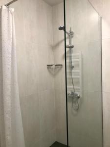 a shower with a glass door with a shower curtain at Apart Assistant on Smart Plaza in Kyiv