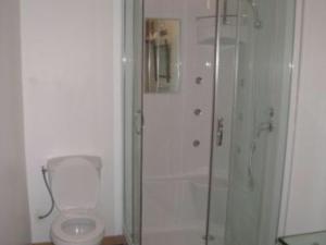 ein Bad mit einer Dusche und einem WC in der Unterkunft Gîte Tonnoy, 3 pièces, 4 personnes - FR-1-584-35 in Tonnoy