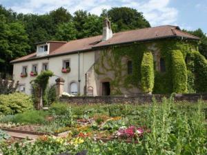 una casa cubierta de hiedra frente a un jardín en Gîte Saint-Dié-des-Vosges, 2 pièces, 2 personnes - FR-1-589-209 en Saint Die