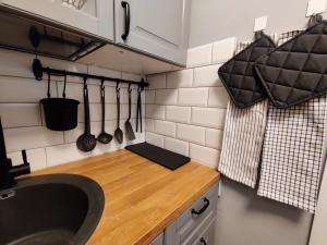 Kuchyň nebo kuchyňský kout v ubytování Nika Apartments