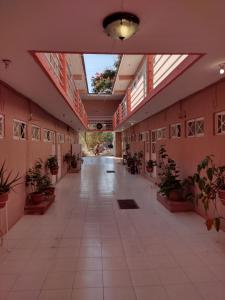 Fotografie z fotogalerie ubytování Hostal Eclipse Oaxaca v destinaci Oaxaca