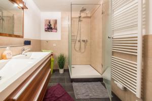 łazienka z umywalką i prysznicem w obiekcie Wieseneck I - Apartment in Fügen w mieście Fügen