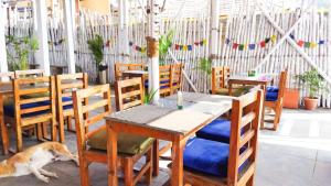 a dog laying on the floor next to a table and chairs at Drishti yoga international in Patnem