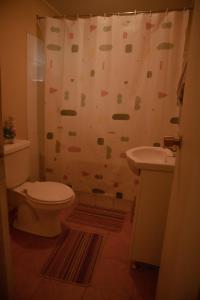 La salle de bains est pourvue de toilettes et d'un rideau de douche. dans l'établissement La Huerta, à Vicuña