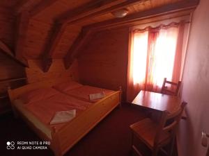 a bedroom with a bed and a desk and a window at Penzion Avalanche in Železná Ruda
