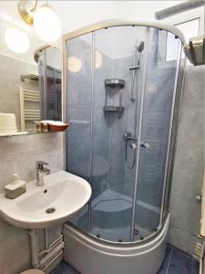 a bathroom with a shower and a sink at Casa Bunicilor Sinaia in Sinaia