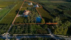 an aerial view of a house in a vineyard at Aneli Luxury Villas-Villa Elissavet in Áyios Kírikos