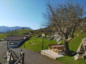 a park with a picnic table and a tree at Saskarate in Asteasu
