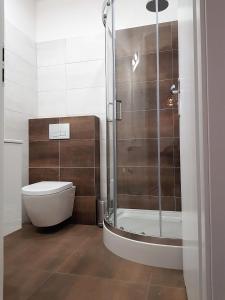 uma casa de banho com um WC e uma cabina de duche em vidro. em Apartament Przy Placu Piastowskim em Jelenia Góra
