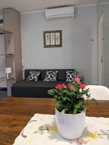 een woonkamer met een bank en een vaas met bloemen bij Danka in Belgrado