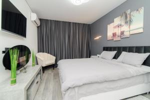 um quarto de hotel com uma cama e uma televisão em Apartament Buiucani Alba Iulia em Chisinau