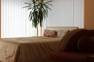 Un dormitorio con una cama con una planta en una ventana en Jauku Erdvu Šilta, en Kaunas