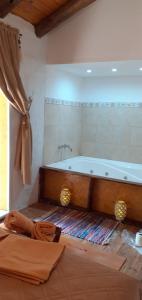 a bathroom with a bath tub in a room at Balcon de Antares in Uspallata