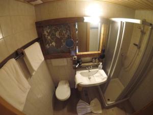 a bathroom with a sink and a shower and a toilet at Alpin-Sportiv in Lermoos