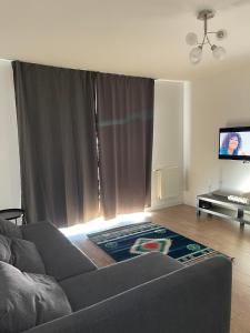 a living room with a couch and a flat screen tv at Melissa Home in Vatra Dornei