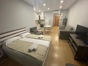 Televisyen dan/atau pusat hiburan di Apartment In Porta Batumi Tower