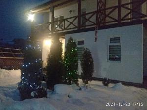 NestG Guest House trong mùa đông