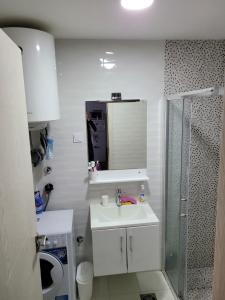 ein Bad mit einer Dusche, einem Waschbecken und einem Spiegel in der Unterkunft Apartman Petra in Budva