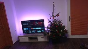 a christmas tree in a living room with a television at FeWo An der Elpe zwischen Winterberg und Fort Fun in Olsberg