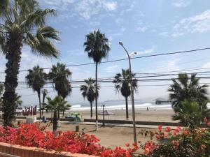 a view of a beach with palm trees and flowers at Bungalows Cerro Azul in Cerro Azul