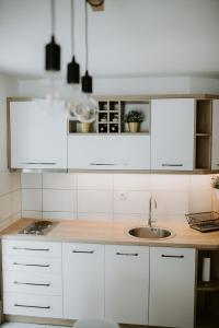 Eldhús eða eldhúskrókur á Apartman SREBRNA PAHULJA