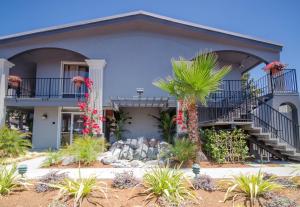 a house with a palm tree in front of it at Continental Inn in Santa Cruz