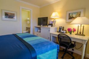 a bedroom with a bed, chair, desk and television at Continental Inn in Santa Cruz