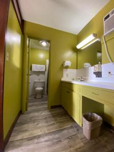 
a bathroom with a sink and a toilet at Lincoln Motel in Chandler
