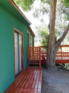a green building with a bench next to a tree at CABAÑA ZAPALLAR BOSQUE PLAYA Hz in Zapallar